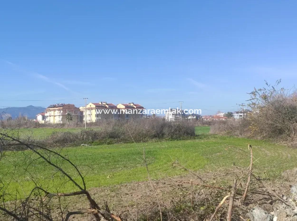 Land For Sale In Çinar Arkasi Şerefler Mahallesi