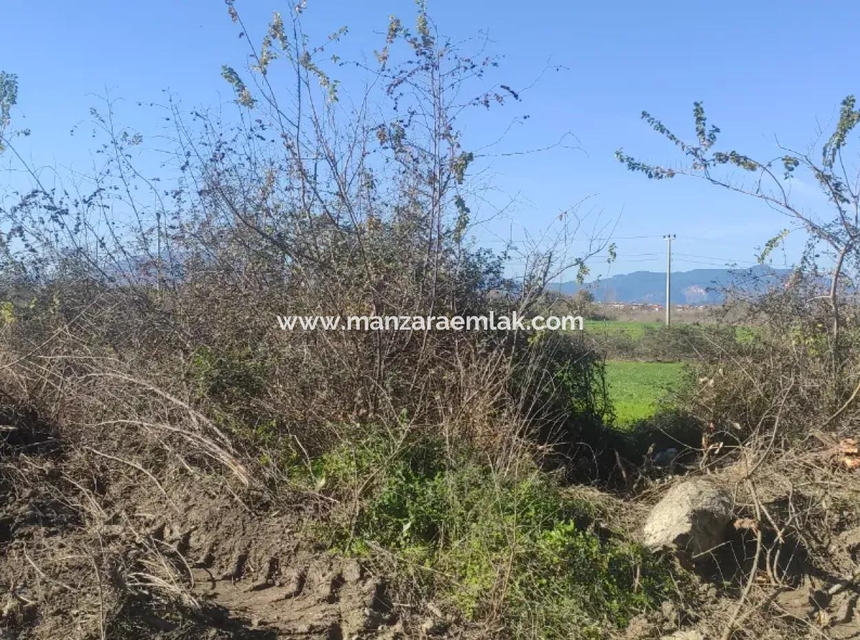 Land For Sale In Çinar Arkasi Şerefler Mahallesi