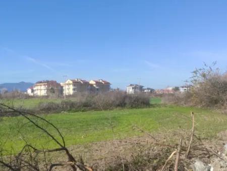 Land For Sale In Çinar Arkasi Şerefler Mahallesi