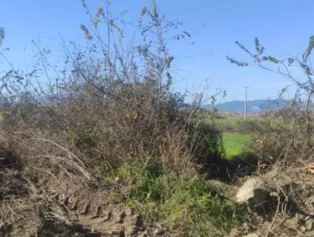 Land For Sale In Çinar Arkasi Şerefler Mahallesi