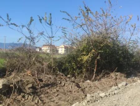 Land For Sale In Çinar Arkasi Şerefler Mahallesi