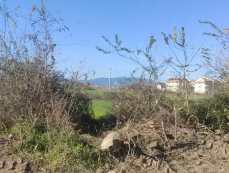 Land For Sale In Çinar Arkasi Şerefler Mahallesi