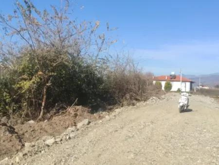 Land For Sale In Çinar Arkasi Şerefler Mahallesi