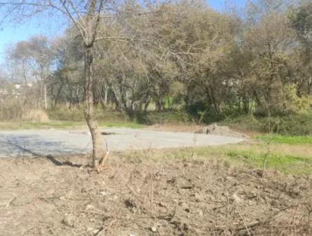 Land For Sale In Çinar Arkasi Şerefler Mahallesi