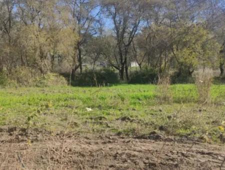 Land For Sale In Çinar Arkasi Şerefler Mahallesi