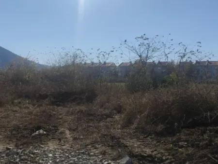 Land For Sale In Çinar Arkasi Şerefler Mahallesi