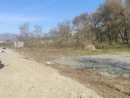 Land For Sale In Çinar Arkasi Şerefler Mahallesi