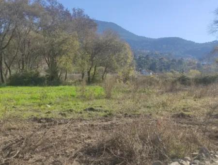 Land For Sale In Çinar Arkasi Şerefler Mahallesi